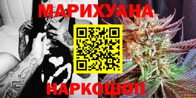 сатива Кулебаки