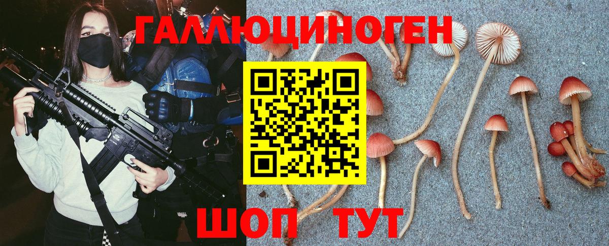 продажа наркотиков  Вход с VPN  Гатчина  Псилоцибиновые грибы Psilocybine cubensis 