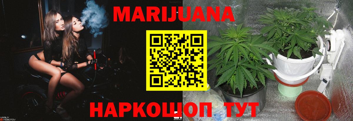 Шишки марихуана ГИДРОПОН Гатчина